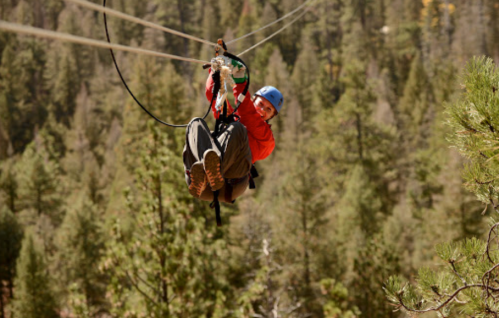 A person in a red jacket and blue helmet zip-lining through a forested area with tall trees in the background.