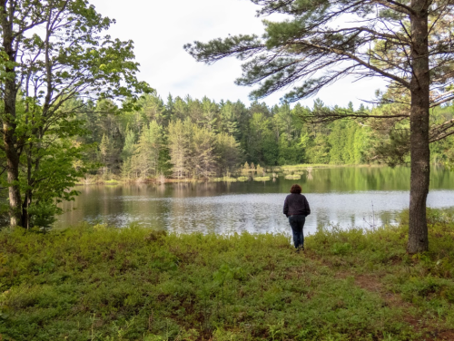 A person stands by a serene lake surrounded by lush greenery and trees, reflecting on the calm water.