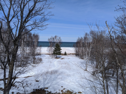 A snowy landscape with bare trees leading to a beach and calm blue ocean under a clear sky.