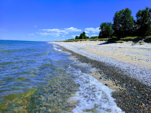 A serene beach scene with clear blue water, pebbly shore, and green trees under a bright blue sky.