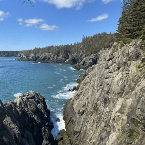 A rocky coastline with clear blue water, surrounded by trees and a bright sky.