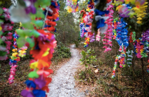 A winding path through a forest adorned with colorful floral decorations hanging from trees.