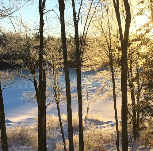 Sunlight filters through frosted trees, illuminating a snowy landscape by a serene lake.