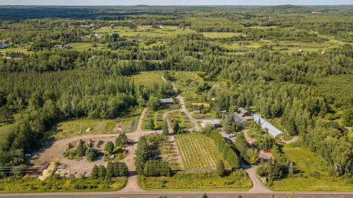 Aerial view of a lush green landscape with fields, trees, and a small farm or garden area.