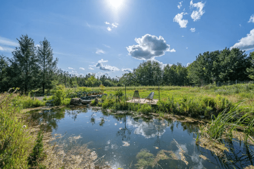 A serene landscape featuring a pond, lush greenery, and two chairs under a bright blue sky with fluffy clouds.