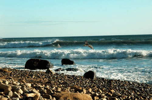 Waves crash on a rocky beach with seagulls flying above under a clear blue sky.