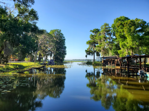 A serene lake scene with lush green trees, reflecting water, and a wooden dock under a clear blue sky.