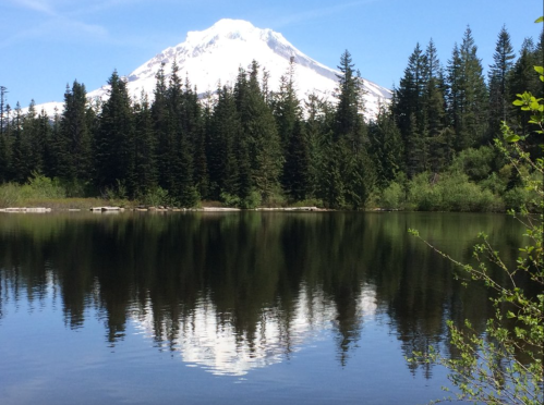A serene lake reflects a snow-capped mountain surrounded by lush green trees under a clear blue sky.