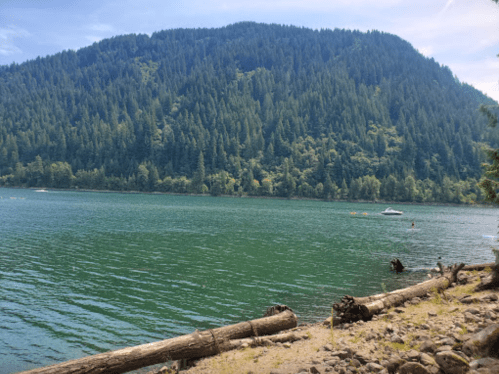 A serene lake surrounded by lush green mountains and trees, with a boat on the water and logs along the shore.
