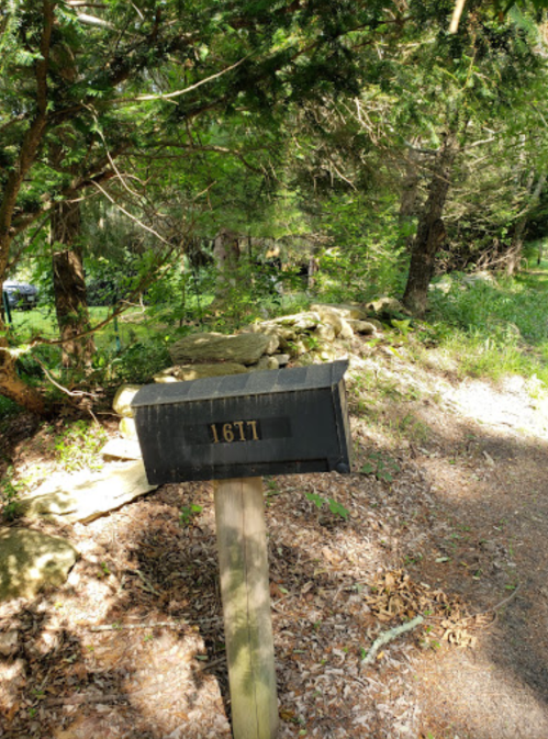 A black mailbox on a wooden post, surrounded by trees and greenery along a gravel path.