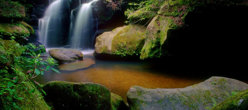 A serene waterfall cascades over moss-covered rocks into a calm pool, surrounded by lush greenery.