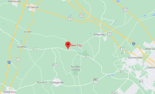 Map showing Bee City located in a green area near Summerville, South Carolina, with nearby roads and towns labeled.