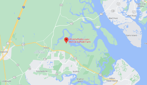 Map showing the location of Merrick Daffodil Farm near Okatie, South Carolina, with nearby roads and landmarks.