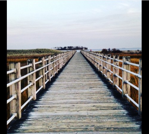 A wooden boardwalk stretches into the distance, flanked by tall grass, leading to a distant island under a cloudy sky.