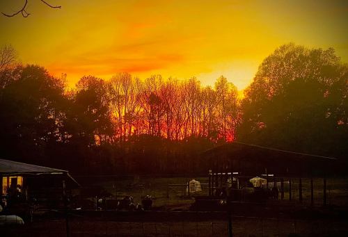 A vibrant sunset casts orange and yellow hues over a silhouette of trees and a farm in the foreground.