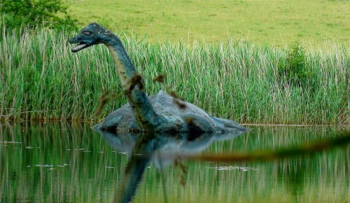 A long-necked dinosaur-like creature emerges from a calm lake, surrounded by tall green reeds and grassy hills.