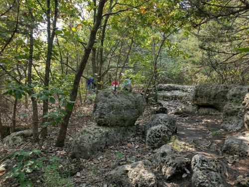 Two people explore a rocky area in a lush green forest, surrounded by trees and natural foliage.