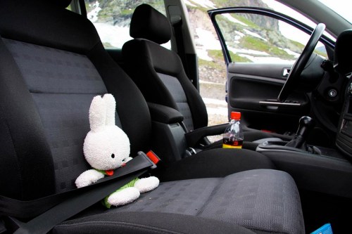 A white stuffed bunny secured with a seatbelt in the front passenger seat of a car, with a bottle nearby.