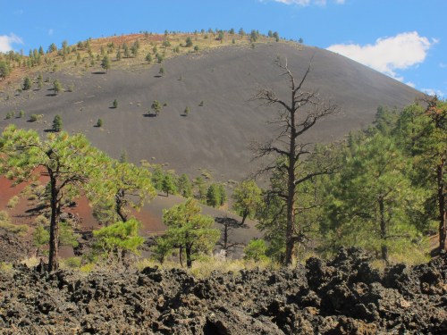 A volcanic landscape featuring a black cinder cone, sparse trees, and rocky terrain under a blue sky.