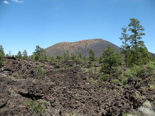 Lava field with rugged black rock formations, pine trees, and a volcanic mountain under a clear blue sky.
