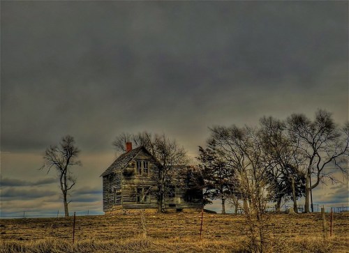 A weathered, abandoned house stands alone among bare trees under a moody, overcast sky.