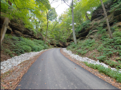 A winding road surrounded by lush green trees and rocky cliffs, with white stones lining the edges.