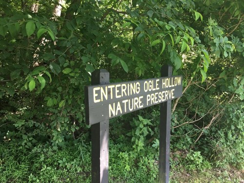 Signpost reading "Entering Ogle Hollow Nature Preserve" surrounded by lush green foliage.