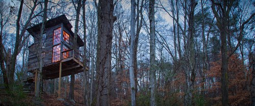 A rustic treehouse with glowing windows, nestled among tall trees in a serene forest setting at dusk.
