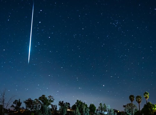 A bright meteor streaks across a starry night sky, with silhouettes of trees and palm trees below.
