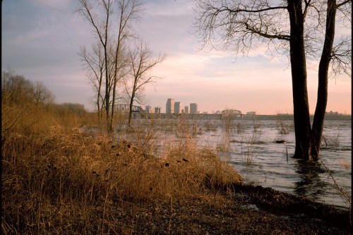 A serene landscape featuring tall grasses and trees by a river, with a city skyline in the background at sunset.