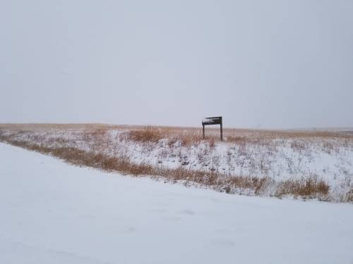 A snowy landscape with a sign partially obscured by snow, surrounded by tall grass and a white, overcast sky.