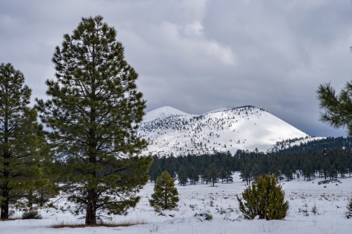 A snowy landscape featuring evergreen trees and a mountain under a cloudy sky.