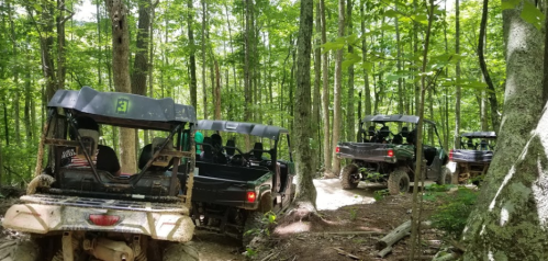ATVs navigating a narrow trail through a lush green forest. Sunlight filters through the trees.