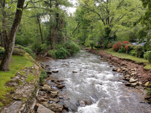 A serene creek flows through a lush green landscape, surrounded by trees and colorful shrubs.