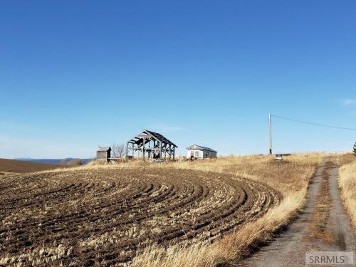 A rural landscape featuring a weathered barn, a small house, and a dirt road winding through fields under a clear blue sky.