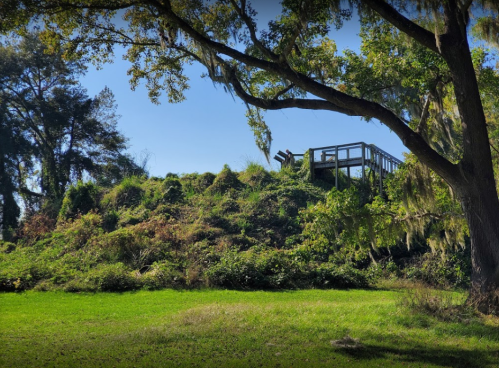 A grassy hill with a wooden observation deck surrounded by trees and Spanish moss under a clear blue sky.