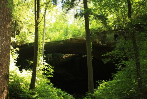 A natural stone arch surrounded by lush green trees and foliage in a forested area.