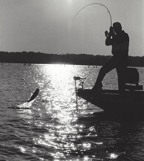 A fisherman on a boat catches a fish jumping out of the water, with sunlight reflecting on the lake's surface.