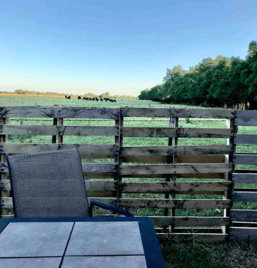 A wooden fence separates a patio table and chair from a grassy field with cows in the distance under a clear blue sky.