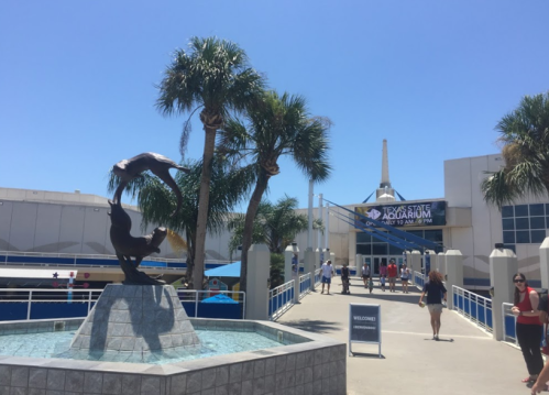 A sunny day at the Texas State Aquarium, featuring a fountain with a seal statue and visitors entering the building.