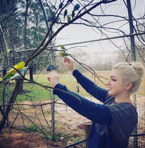 A person with blonde hair interacts with colorful birds in an aviary, surrounded by greenery.