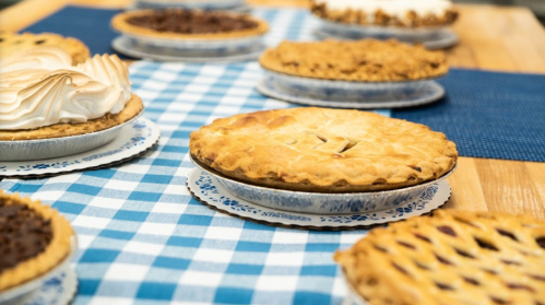 A variety of pies on a blue checkered tablecloth, showcasing different crusts and toppings.