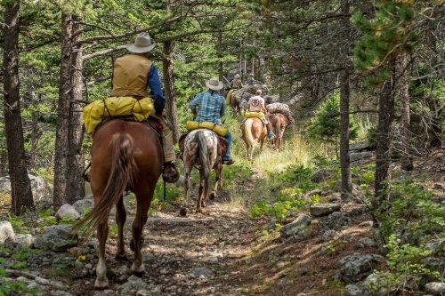 A group of horseback riders navigate a forest trail, surrounded by trees and rocky terrain.