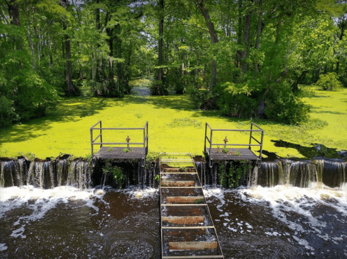A serene waterway with a small waterfall, surrounded by lush greenery and a moss-covered bank.