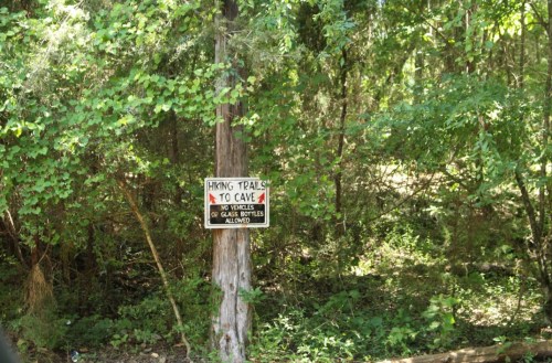 Sign on a tree indicating hiking trails to a cave, with a warning against glass bottles. Surrounded by greenery.
