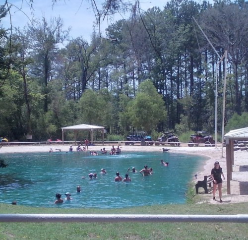 A sunny outdoor scene with people swimming in a clear pond surrounded by trees and a shaded area.