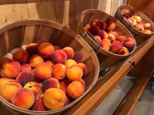 Two wooden baskets filled with ripe peaches, showcasing their vibrant orange and red hues, against a wooden backdrop.