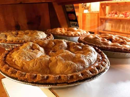 Four freshly baked pies with golden crusts, displayed on a shelf in a rustic setting.