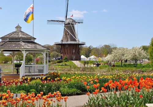 A vibrant garden with colorful tulips, a windmill in the background, and a gazebo under a clear blue sky.