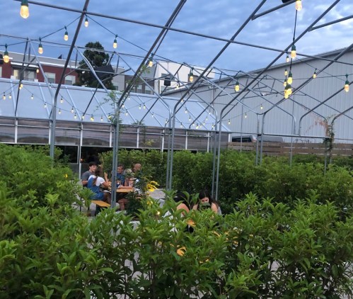 A greenhouse setting with string lights, filled with greenery and people dining at tables.